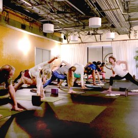 Align & Flow with Patty Barrocas Align & Flow with Patty Barrocas